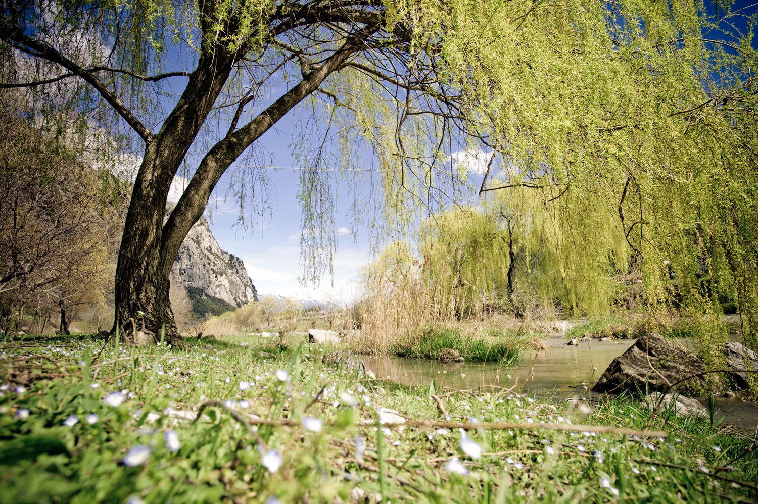 Camping in Trentino